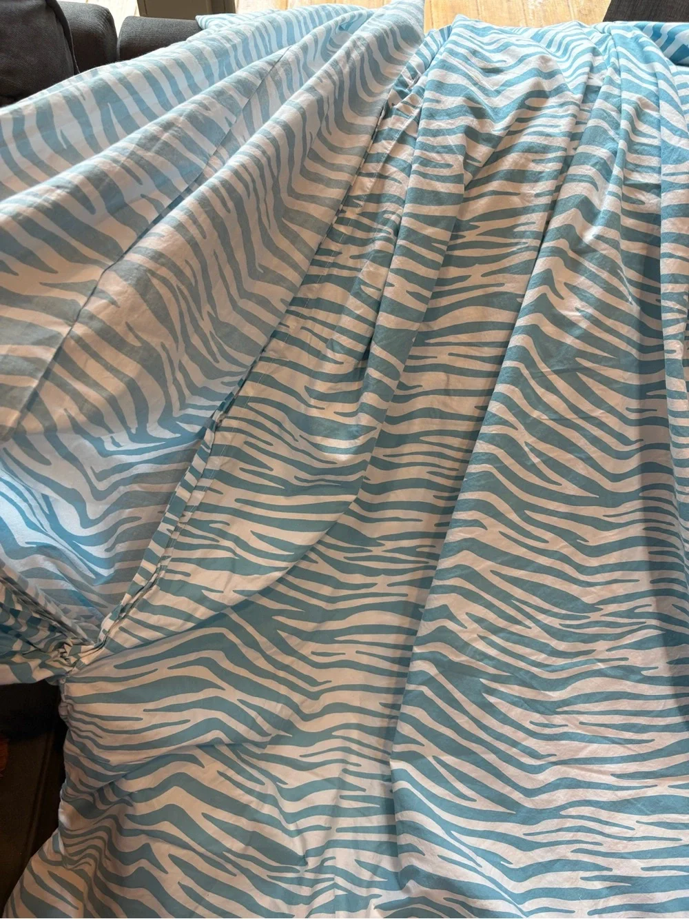 Pottery Barn Teen Y2K Blue Zebra Print Cotton Duvet Cover Full / Queen